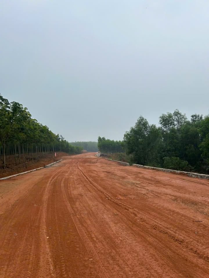 Đất công nghiệp Tân Định, Bắc Tân Uyên 6.3ha - Tiềm năng tăng giá vượt trội!