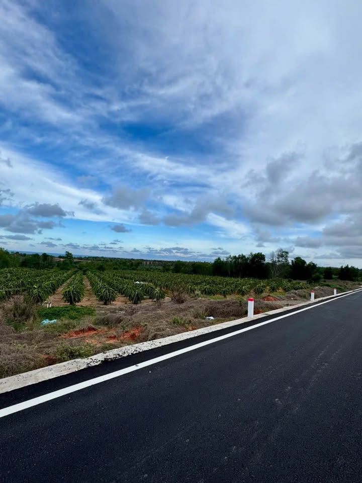 Đất nền Hàm Mỹ, Hàm Thuận Nam 1.300m² giá 990 triệu - Sổ đỏ chính chủ