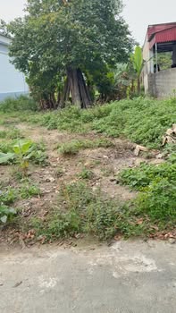 Đất Quảng Phú Thanh Hóa 140m2 700tr - Tăng giá