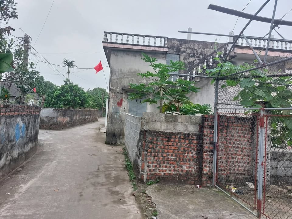 Đất nền Hòa Bình Hưng Hà 203m² giá 1,1-1,19 tỷ - Sổ đỏ chính chủ