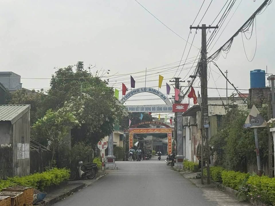 Đất Tạ Xuân Thu Tiền Hải 100m² 1.8 tỷ - Đường to ô tô