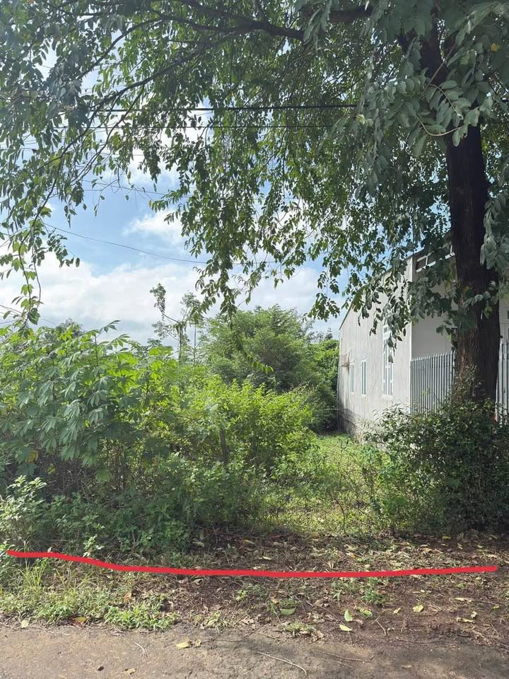 Đất nền Thôn 3 Ea Kao 195m2 995 triệu - Đường ô tô rộng