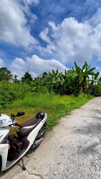 Đất nền Trường Long Tây Hậu Giang 3ha 2.8 tỷ Sổ đỏ chính chủ