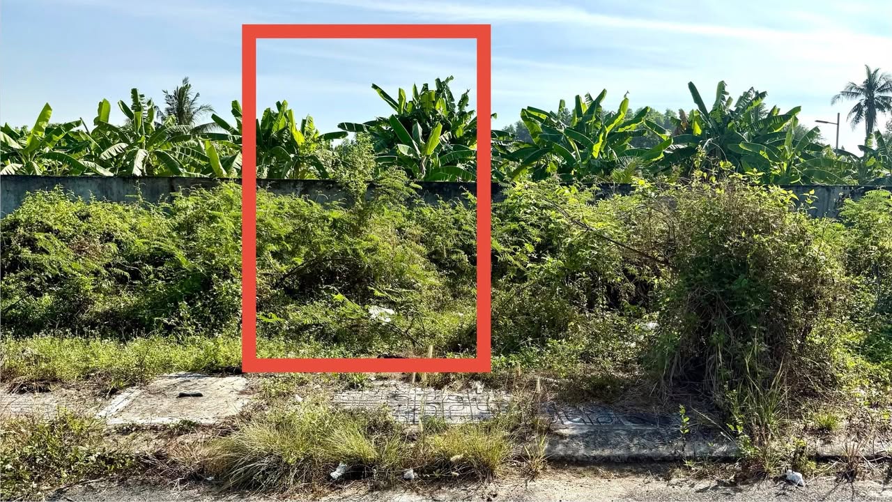 Đất nền Long Phước Thủ Đức 52m² 3.45 tỷ - Sổ đỏ chính chủ