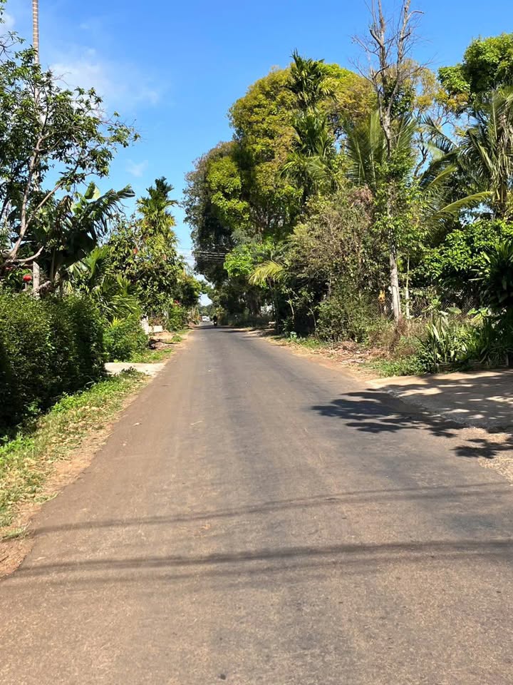 Đất nền B4 Mậu Thân Buôn Ma Thuột 270m² 2,5 tỷ - Sổ đỏ chính chủ