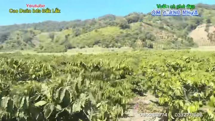 Farm Nam Ka Đắk Lắk 1800m² 1.5 tỷ - Sinh thái xanh