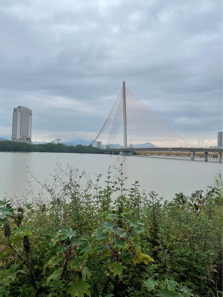 Đất nền Chương Dương Ngũ Hành Sơn 137m² - Sổ đỏ chính chủ