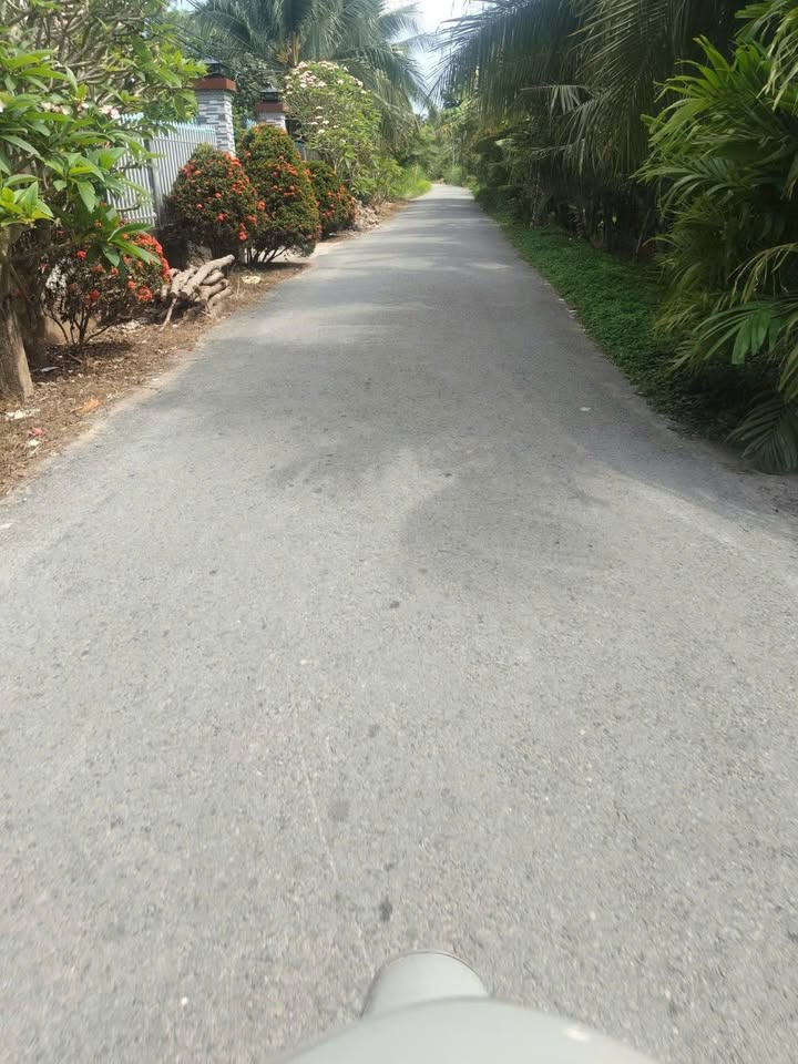 Đất nền Tân Thành Bình 223m² 850 triệu - Sổ đỏ chính chủ