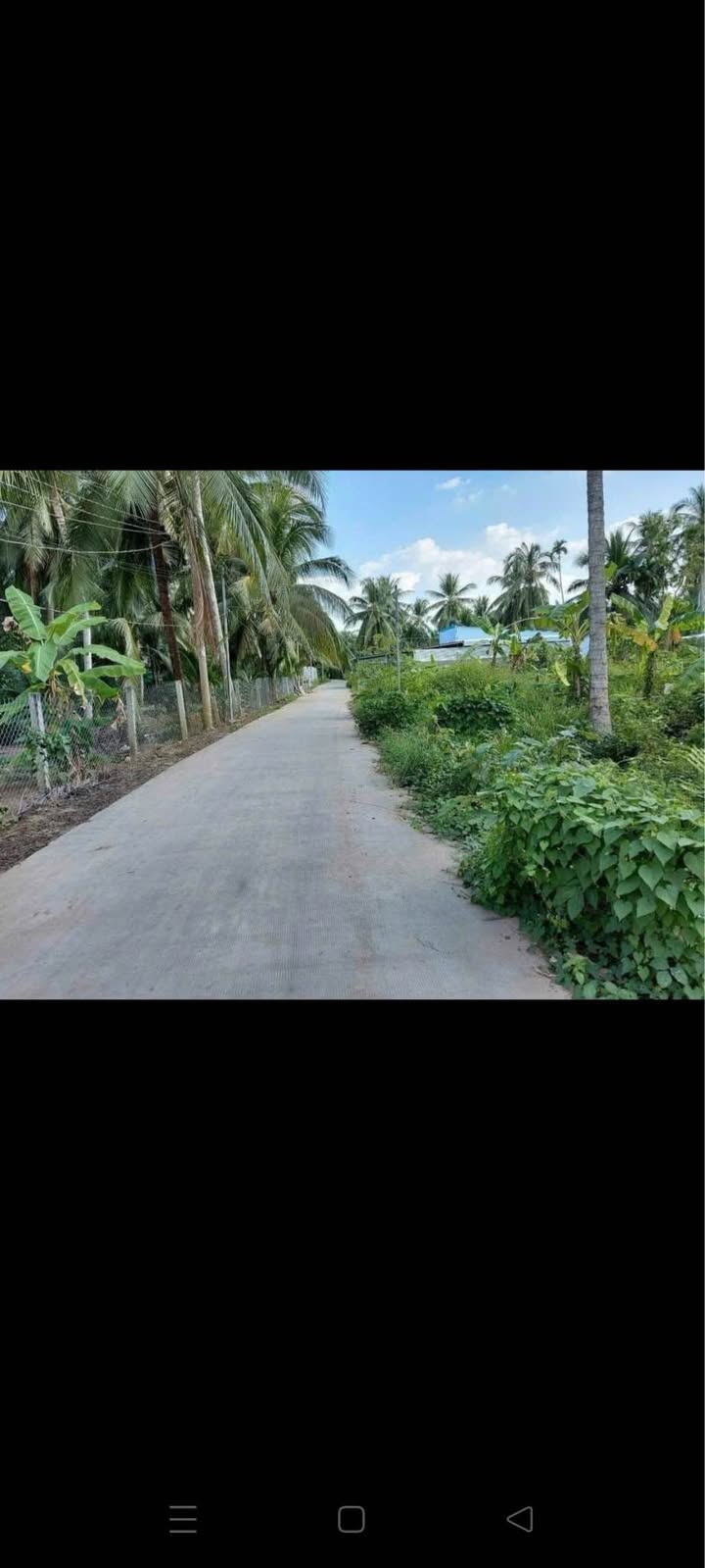 Đất nền An Hội Bến Tre 300m² 1.05 tỷ - Sổ đỏ chính chủ