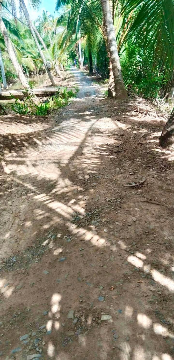 Đất vườn An Định Mỏ Cày 2.000m² 900tr - Tiềm năng tăng giá