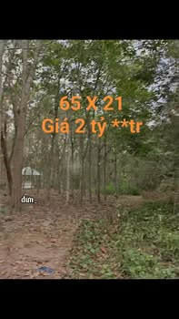 Đất nền Mỹ Phước Bến Cát 1.365m² giá 2 tỷ - Sổ đỏ chính chủ