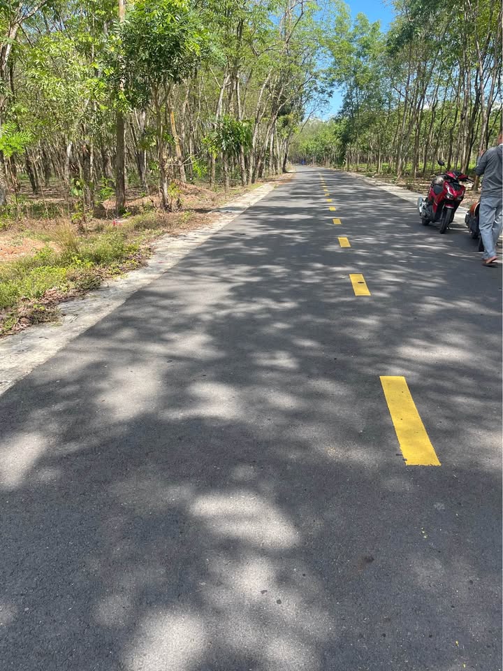 Đất nền Chánh Phú Hòa Bến Cát 375m² 1 tỷ - Tiềm năng tăng giá