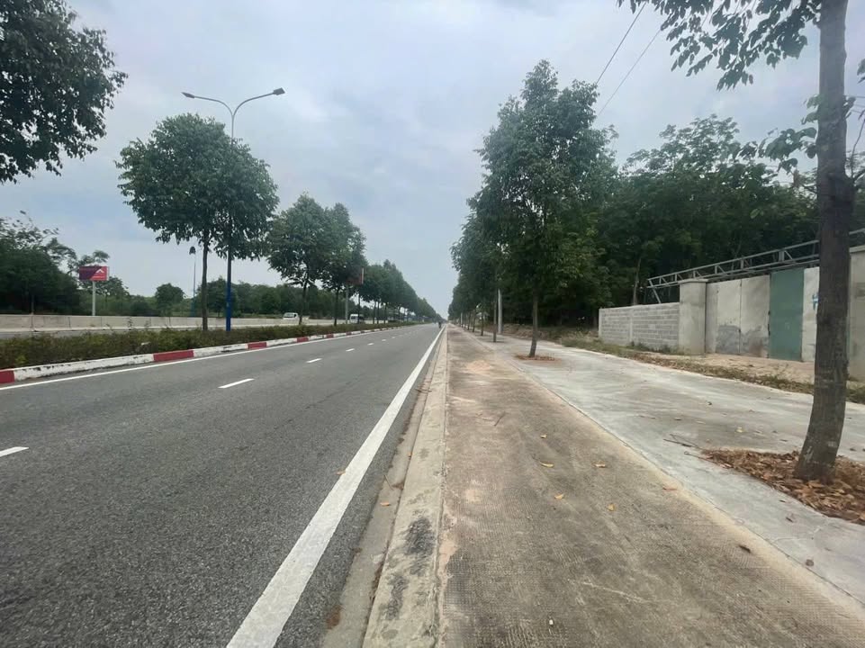 Đất nền Mỹ Phước Bầu Bàng 1897m² 12 tỷ - Sổ đỏ chính chủ