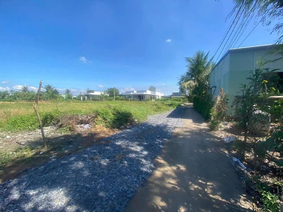 Đất nền Ấp 1 Bình Xuân 150m² 280tr - Đất thổ cư 100%