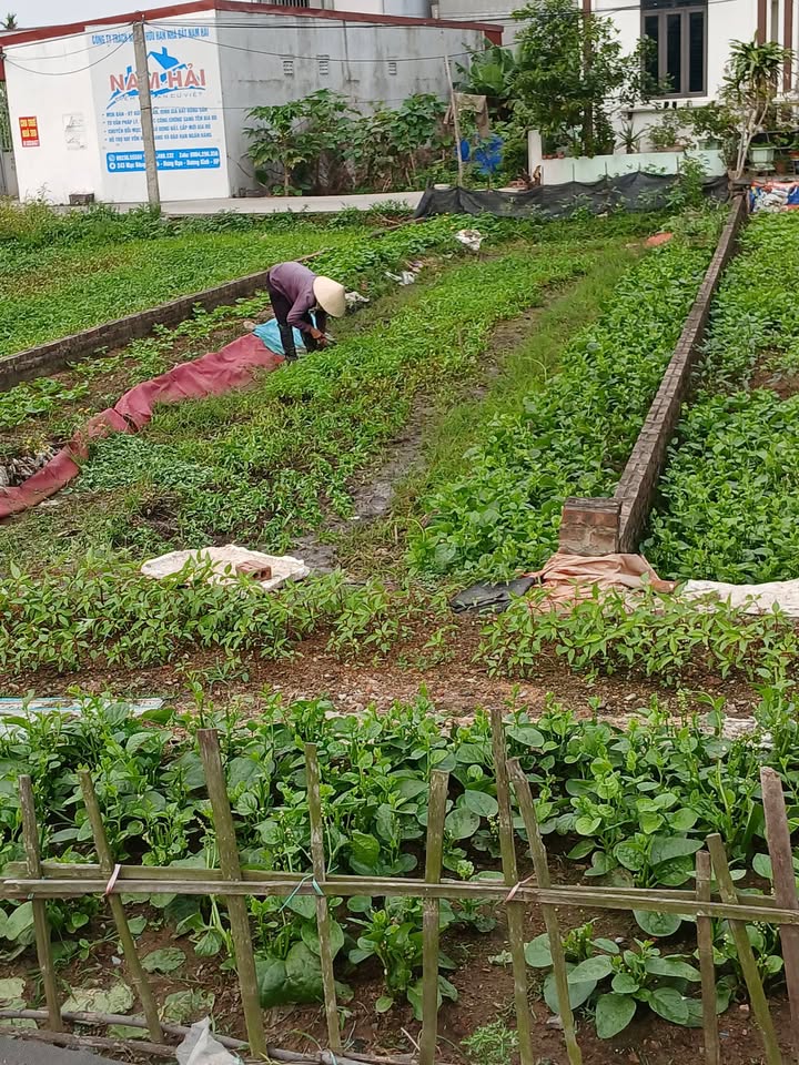 Đất nền Tiểu Trà Dương Kinh 95m² giá 3.33 tỷ - Sổ đỏ chính chủ