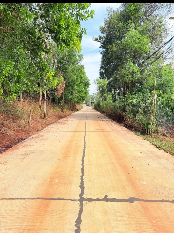 Đất thổ cư Pleiku Diên Hồng 240m² 700-799 triệu - Đất thổ cư 100%