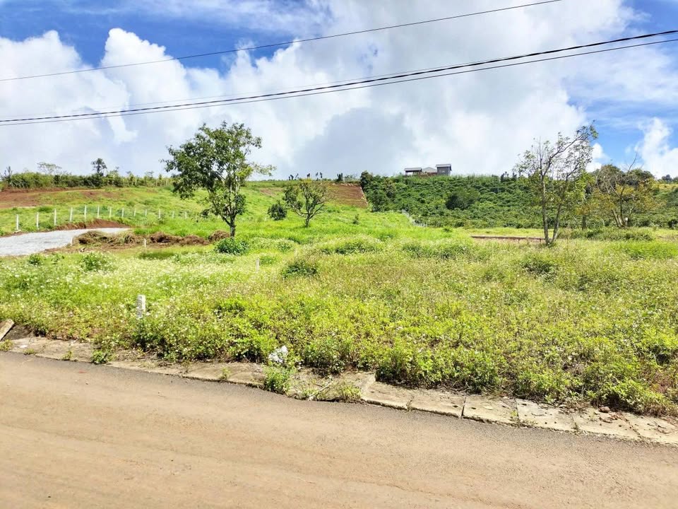 Đất Tôn Thất Thuyết Bảo Lộc 337m² 2.65 tỷ - Pháp lý rõ ràng