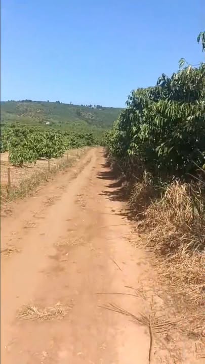 Đất nền Lộc Ngãi Bảo Lâm 1,4ha 600tr/s - Sổ đỏ chính chủ