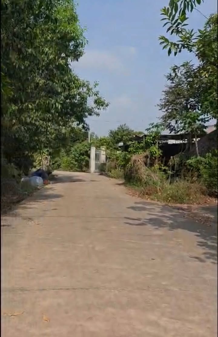 Đất nền Phước Sang Phú Giáo 235m² 495 triệu - Sổ đỏ chính chủ