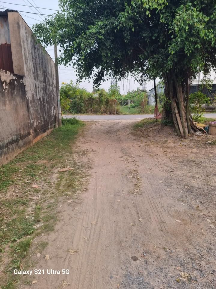 Nhà vườn Tân Phú Trung Củ Chi 550m² 2.05 tỷ - Ô tô vào tận nhà