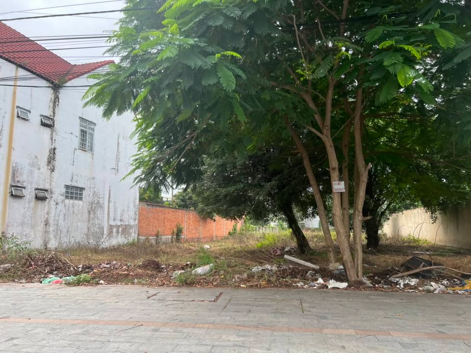 Đất nền Phạm Ngọc Thạch Thủ Dầu Một 1.800m² 60 tỷ - Sổ đỏ chính chủ