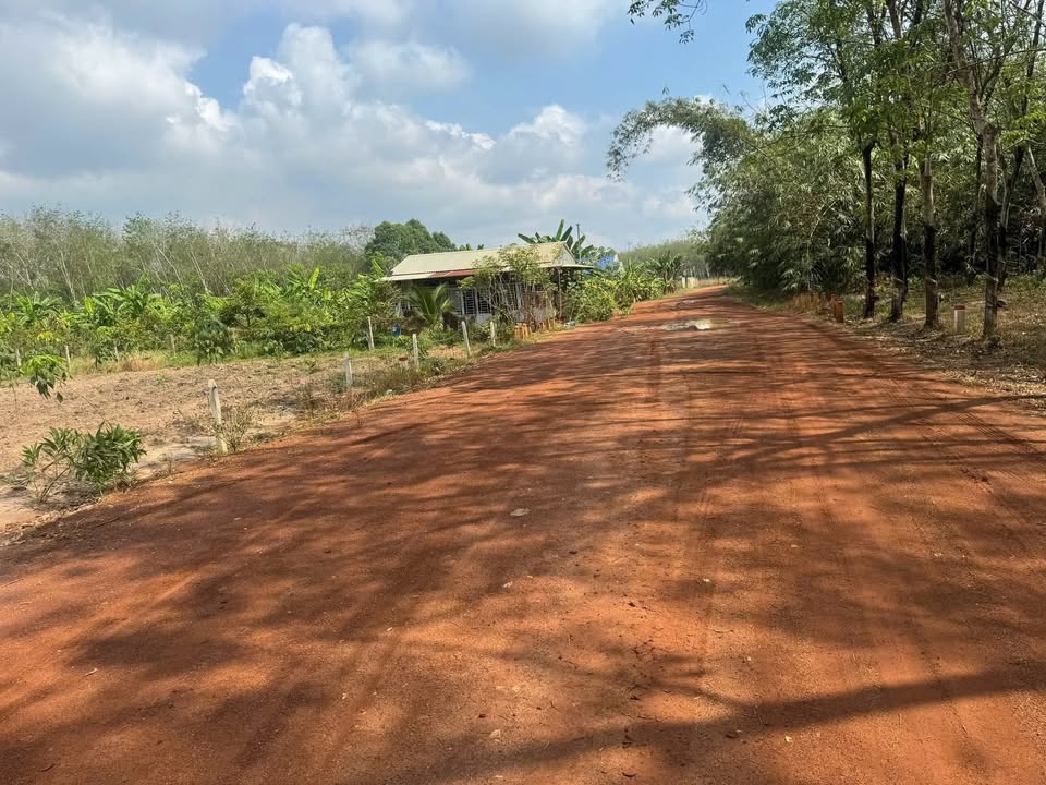 Đất nền Thanh Tuyền BD 5000m2 2.2 tỷ - Sổ đỏ chính chủ