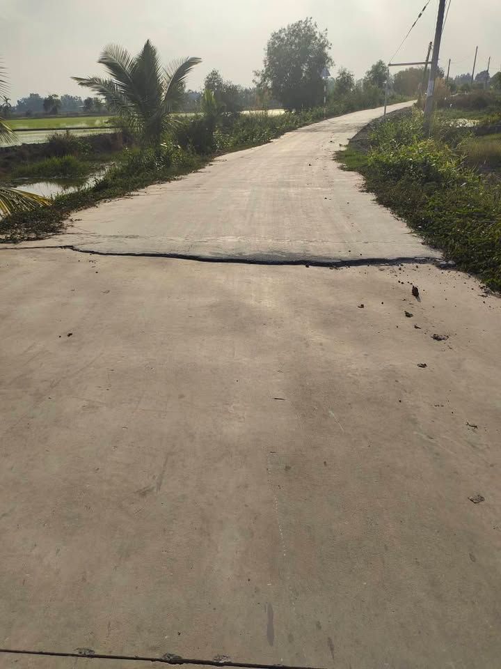 Đất nền Tân Hòa Long An 23.000m² 11,5 tỷ - Sổ hồng chính chủ