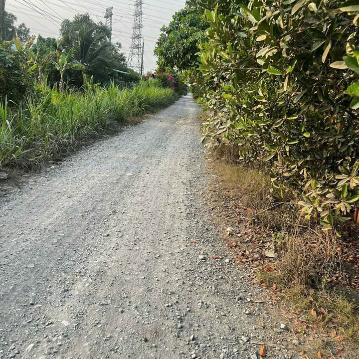 Đất nền Đức Hòa Long An 100m² 600 triệu - Thổ cư 100%