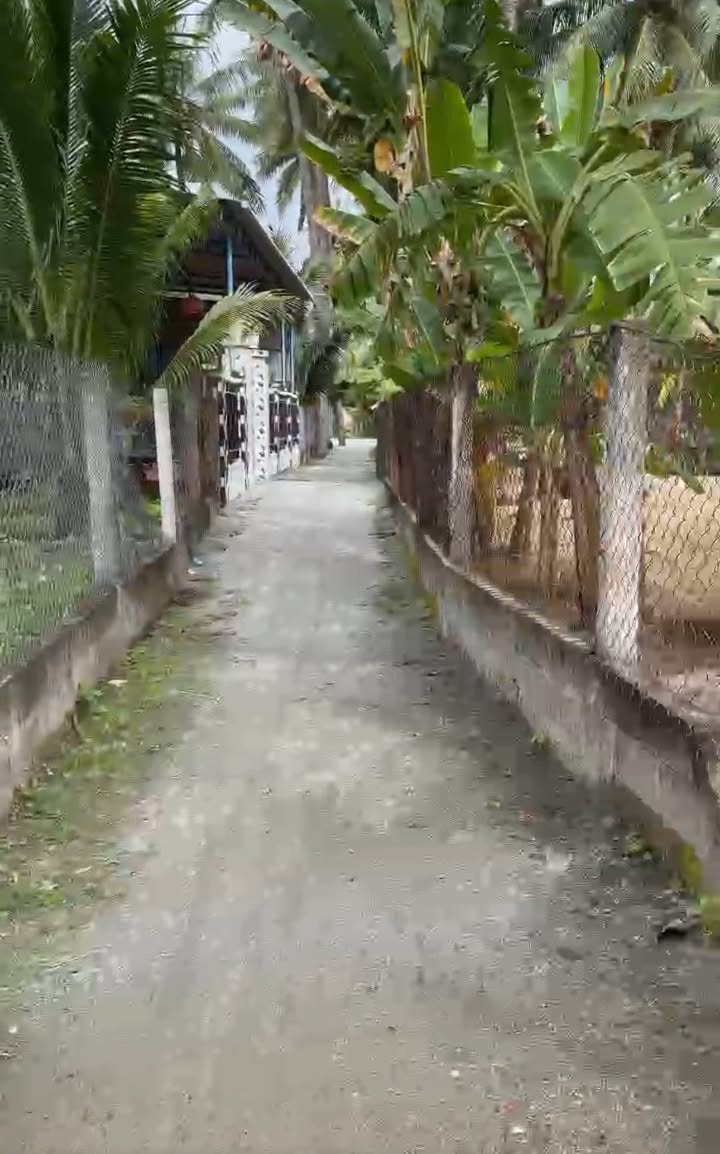 Đất nền Tam Quan Nam 105m² 400-499 triệu - Đất thổ cư 100%