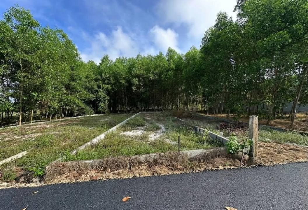 Đất nền An Linh 203m² giá 460 triệu - Sổ đỏ chính chủ