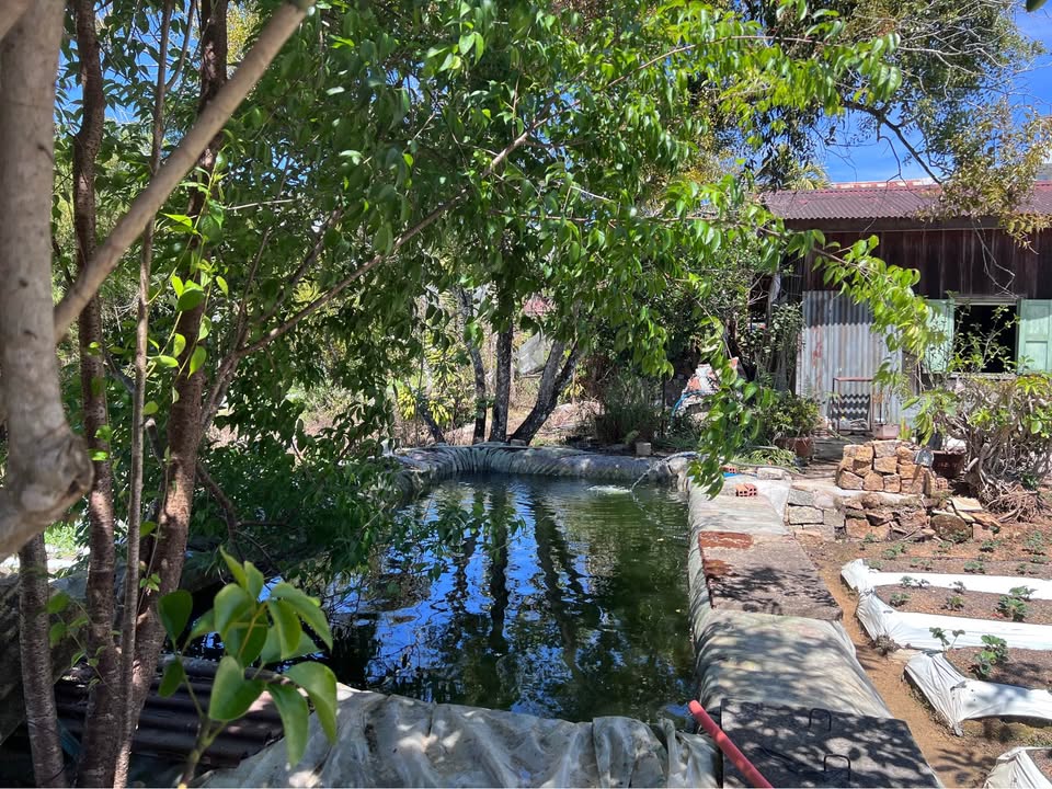 Đất nền Phường 4 Đà Lạt 1.700m² 38 tỷ - Sổ đỏ chính chủ