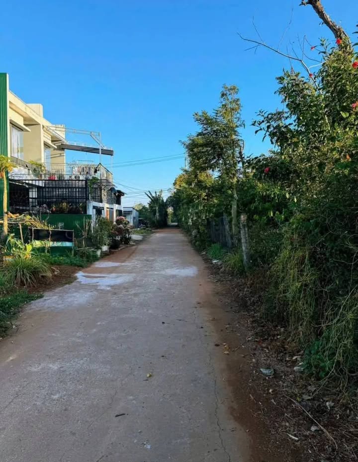 Đất Thôn 6 Phạm Ngũ Lão 239m² 2,45 tỷ - Đường ô tô