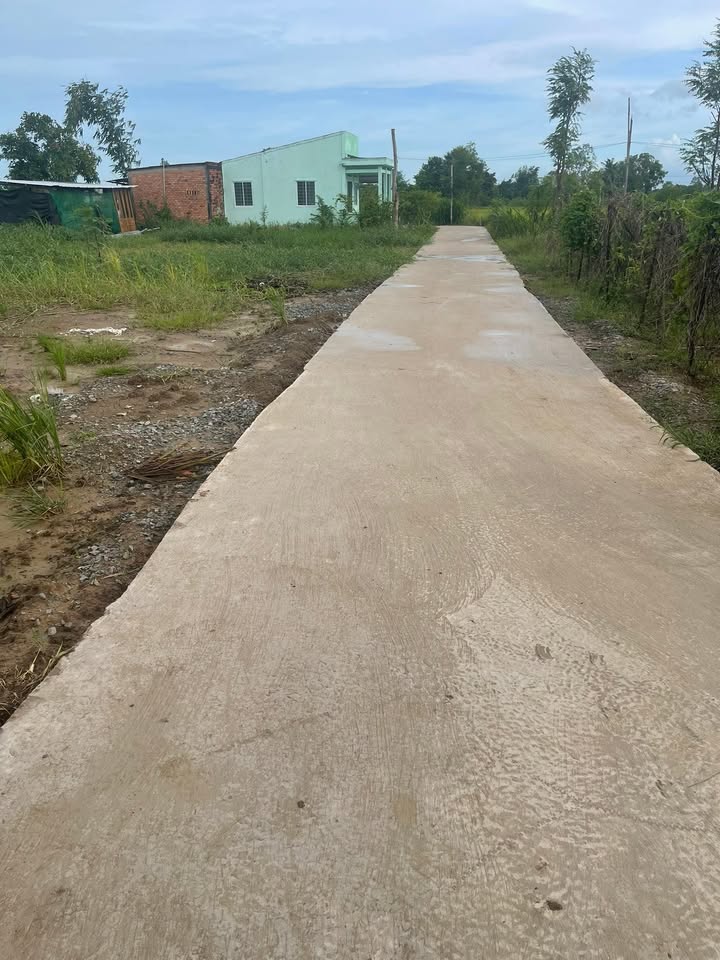 Đất nền Bình Nghị 1200 m² 1.1 tỷ - Sổ đỏ chính chủ