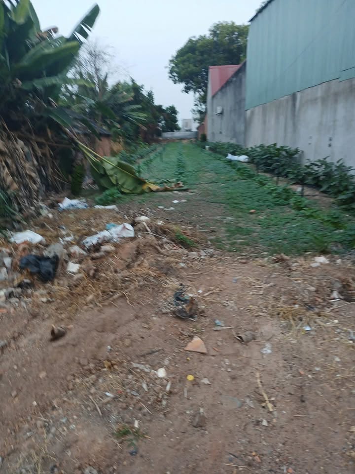 Đất nền Tân Định Q1 405m² 3.2 tỷ - Sổ đỏ chính chủ