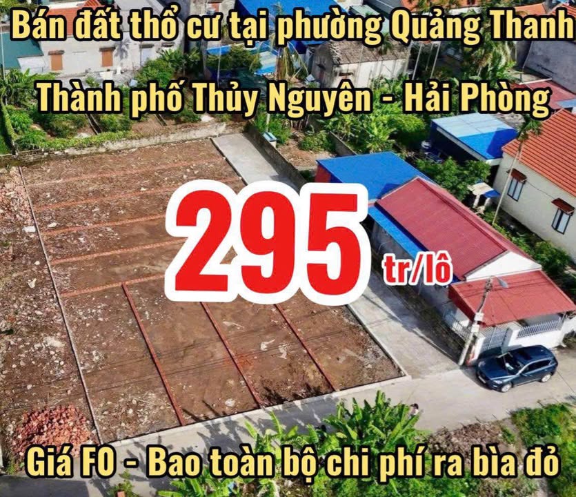 Đất nền Hoa Động Thuỷ Nguyên 60m² 295 triệu - Sổ đỏ chính chủ