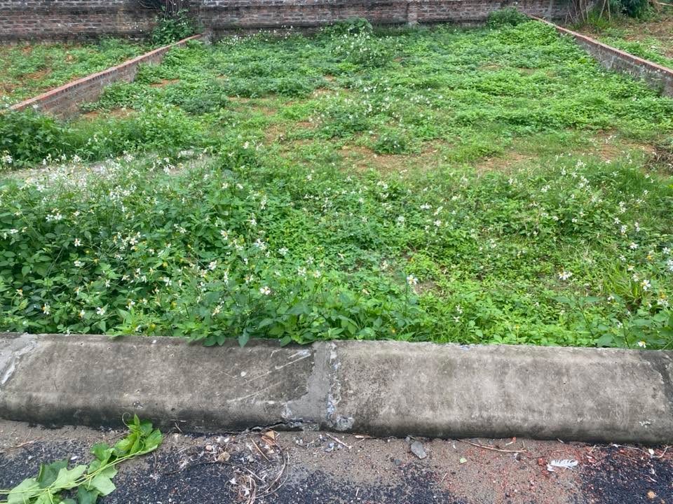 Đất nền Gia Lâm 80m² giá 1 tỷ - Đất thổ cư 100%