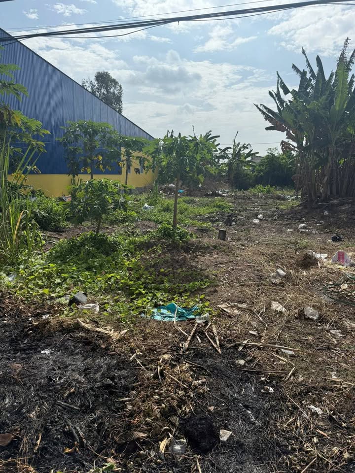 Đất nền QL1A Vĩnh Lợi 216m² 1.28 tỷ - Sổ đỏ chính chủ