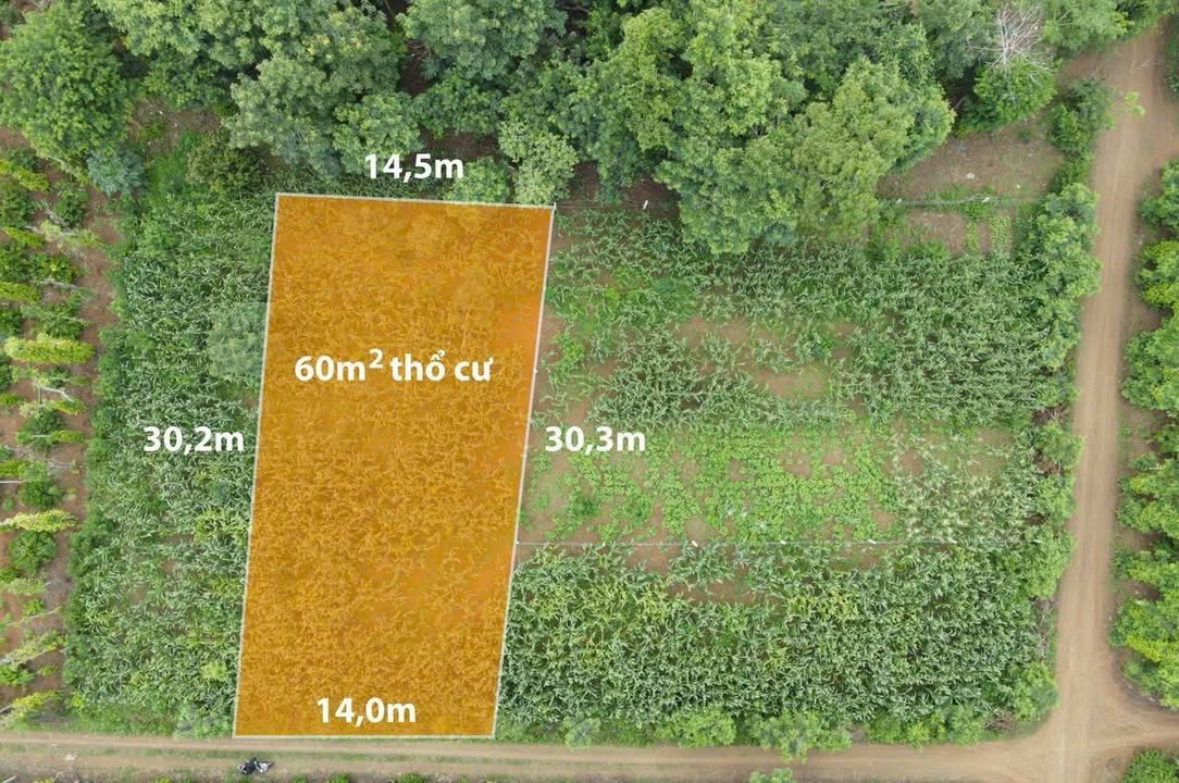 Đất nền Ea Tiêu Cư Kuin 425m² 559 triệu - Sổ đỏ chính chủ