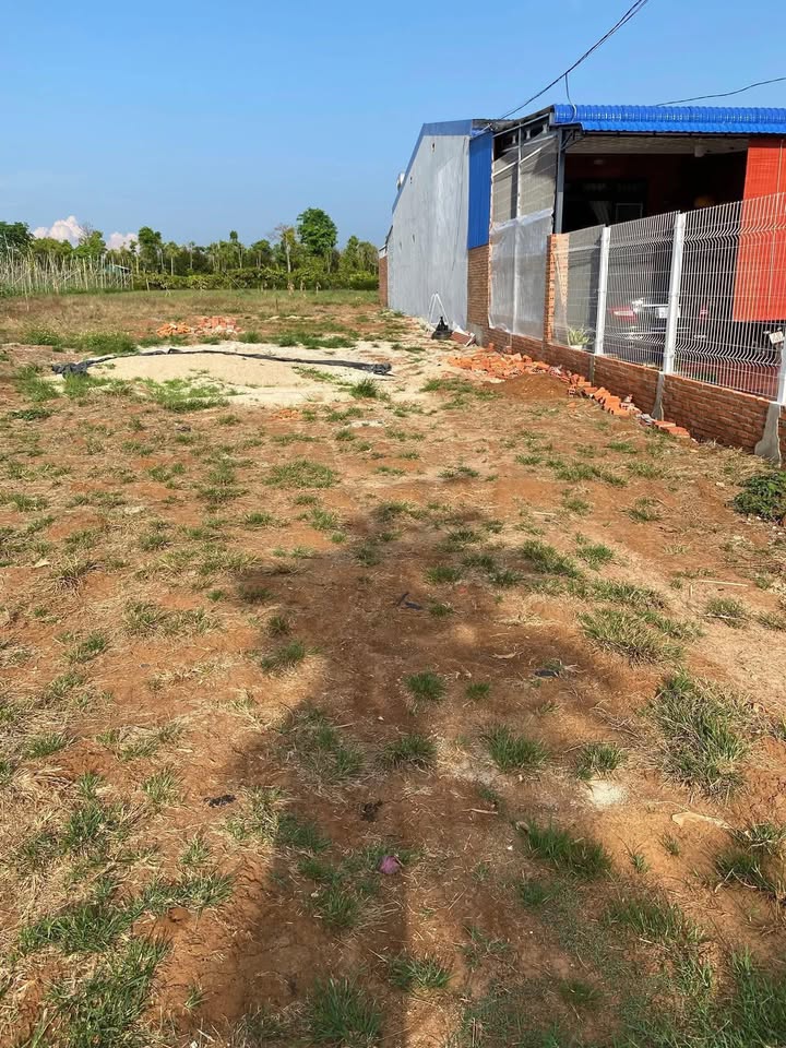 Đất thổ cư Thôn 5 Krông A Na 150m² 300 triệu - Sổ đỏ chính chủ