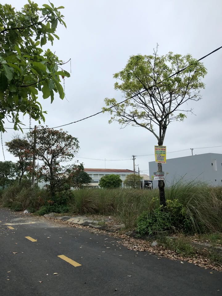 Đất Trần Đại Nghĩa Ngũ Hành Sơn 375m² 14 tỷ - Sổ đỏ chính chủ