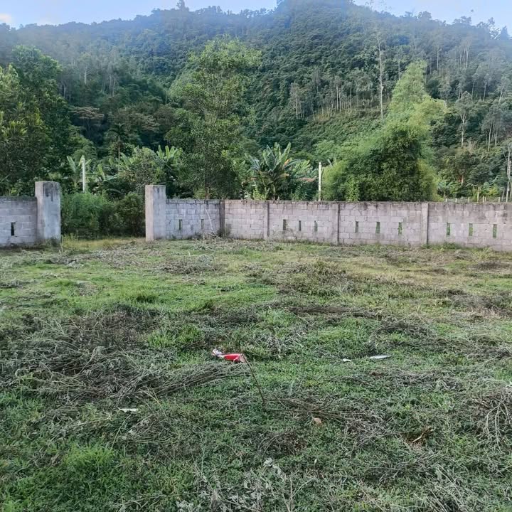 Đất vườn Hòa Bắc Hòa Vang 1000m²/3 tỷ - Sinh thái xanh