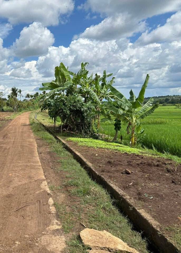 Đất thổ cư Thôn 5 Ea Drông 1.886m² 3,85 tỷ - Sổ đỏ chính chủ