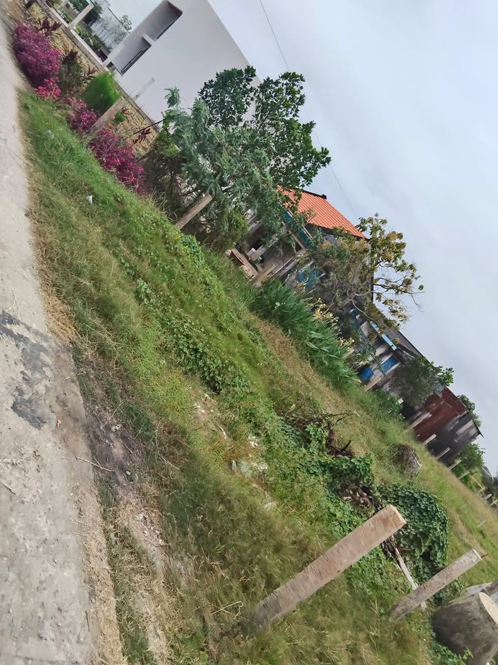 Đất nền Bình Tân Gò Công Tây 533m² 900 triệu - Sổ đỏ chính chủ