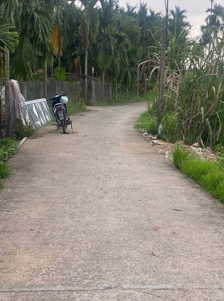 Đất nền Nghĩa Kỳ 130–141m² giá 4xx - Xây dựng tự do