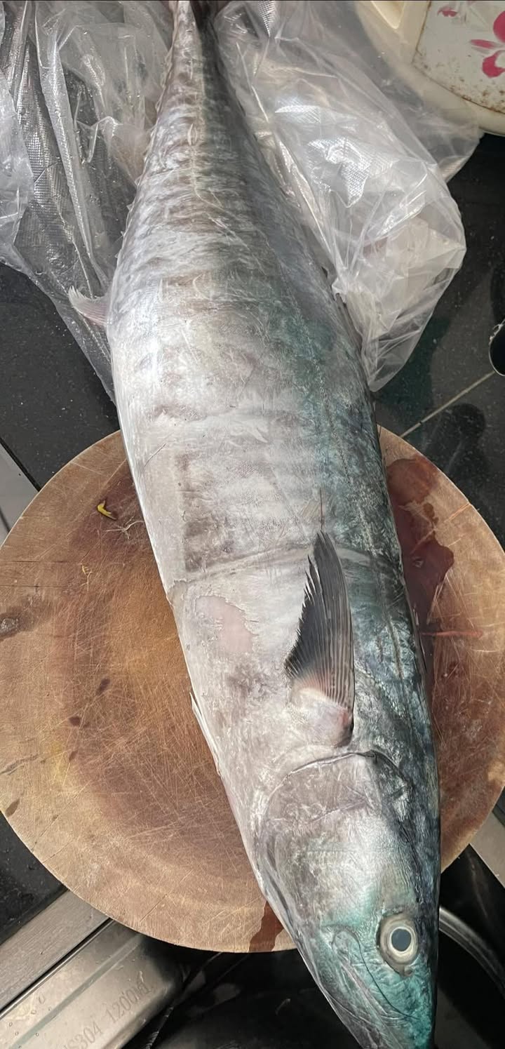 Nhà xưởng Cảng Cát Lở 1.400m² 70 triệu - Hoạt động ngay