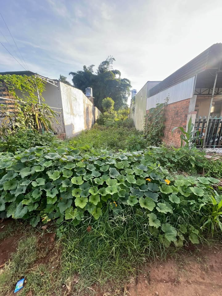 Đất nền Phú Nhuận 210m² 1.8 tỷ - Đất thổ cư 100%