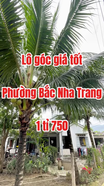 Đất nền Vĩnh Hòa Nha Trang 109m² 1.75 tỷ - Giá tốt hiếm có