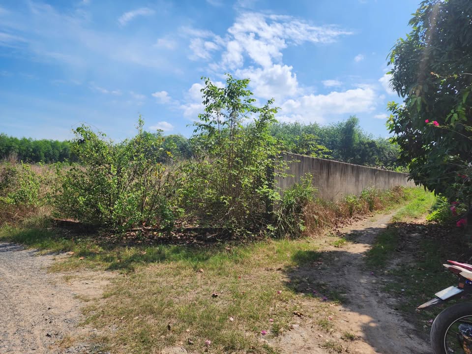 Đất nền Bình Lợi Vĩnh Cửu 720m² 5.5 tỷ - Sổ đỏ chính chủ