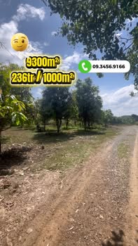 Đất nền Xã Ngọc Định 9300m² giá 2.1948 tỷ - Sổ đỏ chính chủ