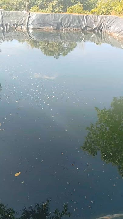 Farm Đức Cơ Gia Lai 1.7ha 2 tỷ - Sổ đỏ chính chủ